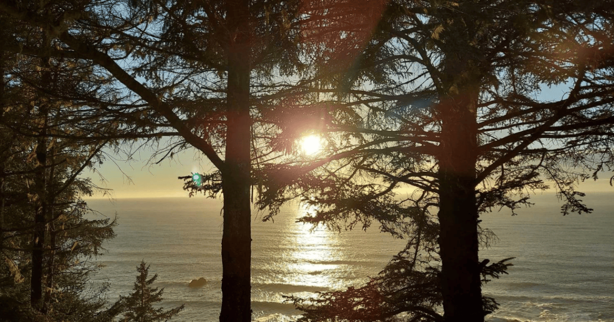 About PNW Nomad Meetups Header Image